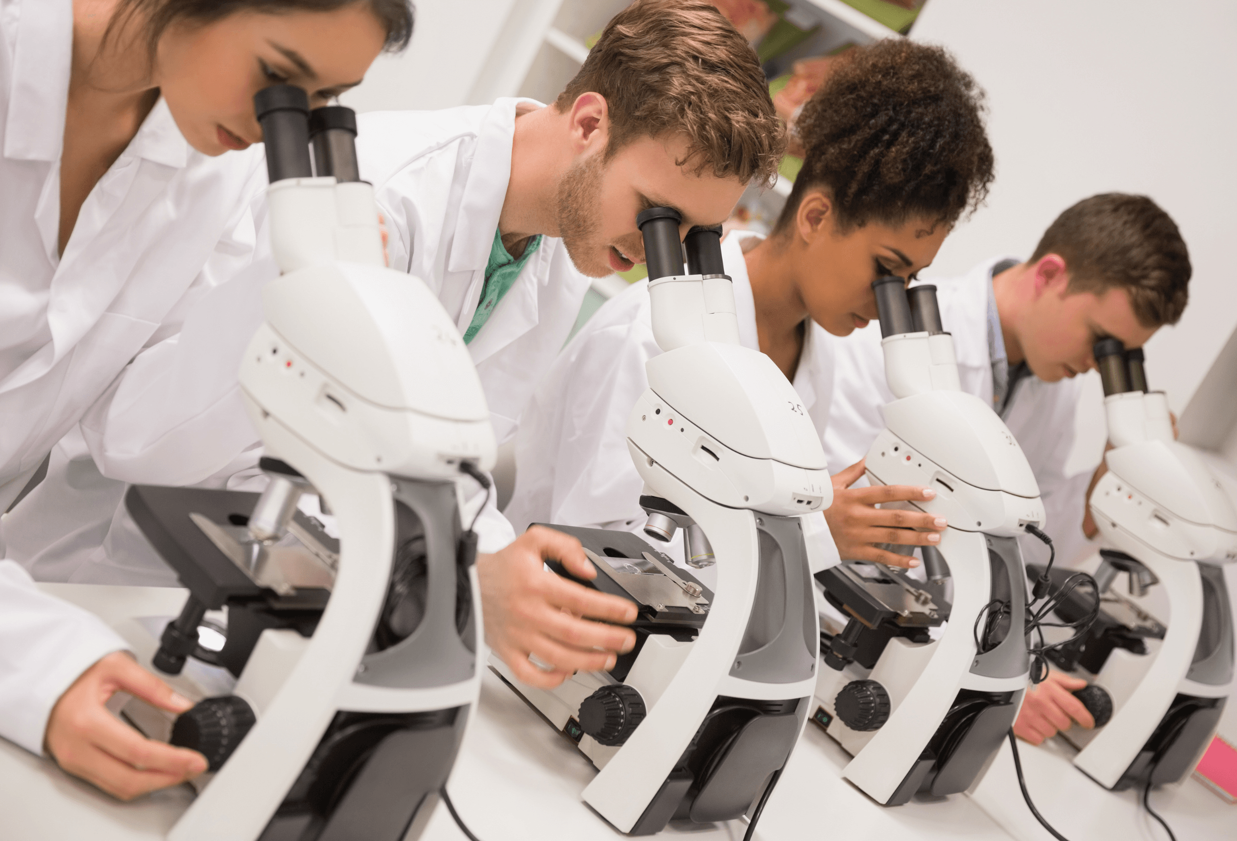 Etudiant concentre lors d'un travail pratique en laboratoire de biologie medicale